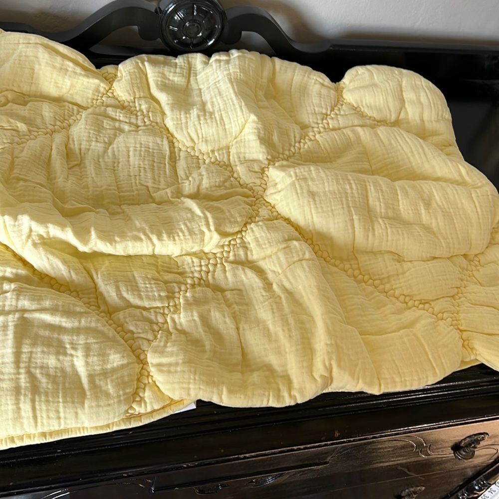 Pottery Barn Teen Breezy Muslin Sham